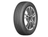 225/60 R 17 99H DYNTRAC NEREUS